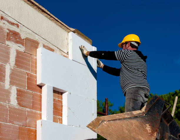 Best Residential Insulation in Olympia, SC