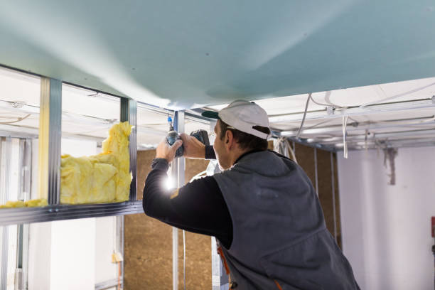 Best Geographic-Specific Insulation Services in Olympia, SC