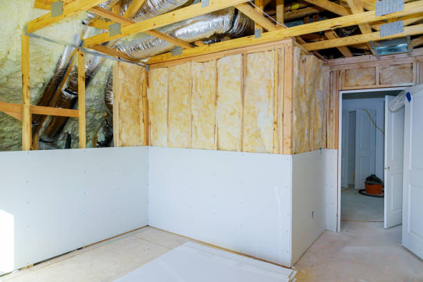 Types of Insulation We Offer in Olympia, SC