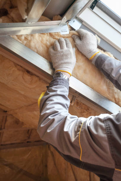 Best Eco-Friendly Insulation in Olympia, SC