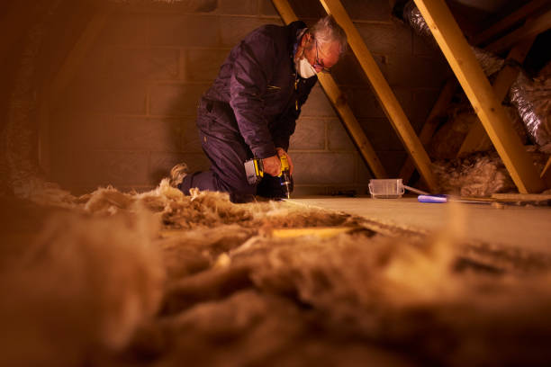 Best Cellulose Insulation in Olympia, SC